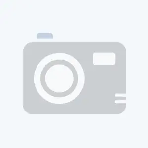 <h4>PALMEIRA ARECA BAMBU P17</h4>